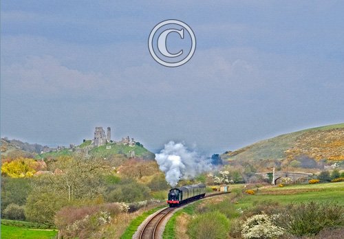Steam Train at Corfe, Dorset DM0157  